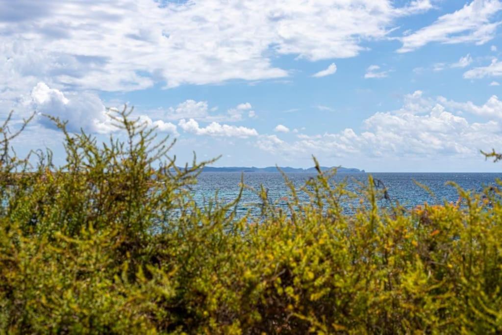 M0 Practico Y Sencillo A 100 M De Mejores Playas De Mallorca Lägenhet
